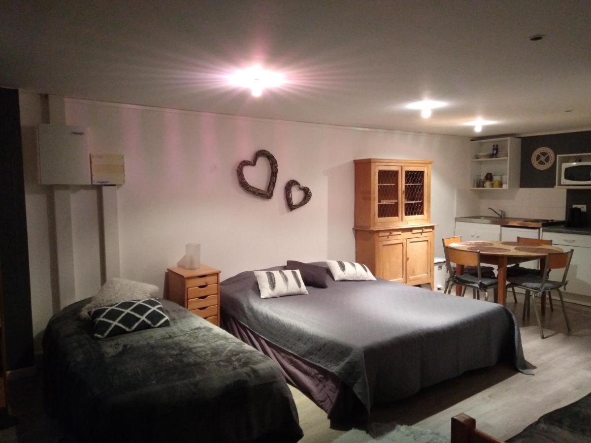 Appartement Espace Grenouillit En Velay *